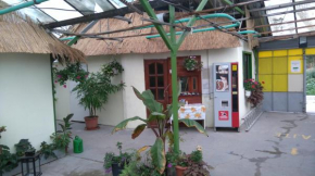 Гостиница Rastlinky.sk Garden Centre Reed Guestrooms  Братислава